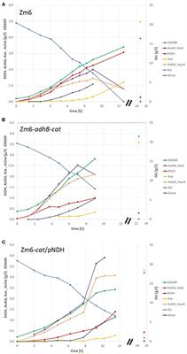 Improvement of Acetaldehyde Production in Zymomonas mobilis by Engineering of Its Aerobic Metabolism